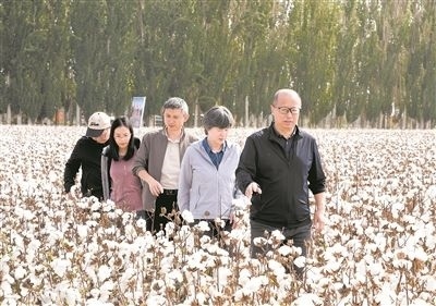李召虎團(tuán)隊(duì)成員在棉田了解試驗(yàn)情況。 受訪單位供圖