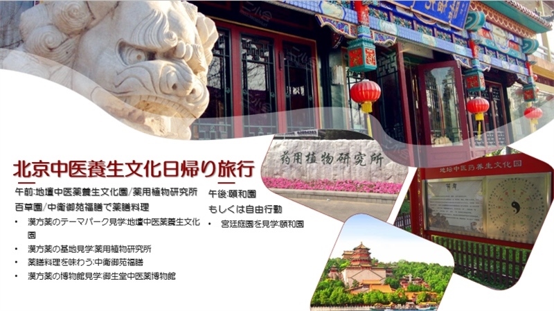 “你好！中國·休閑旅游—中國旅游說明會”宣講材料。中國駐東京旅游辦事處供圖