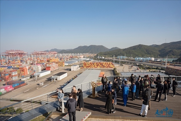 媒體團(tuán)走進(jìn)寧波舟山港北侖港區(qū)。環(huán)球網(wǎng)供圖