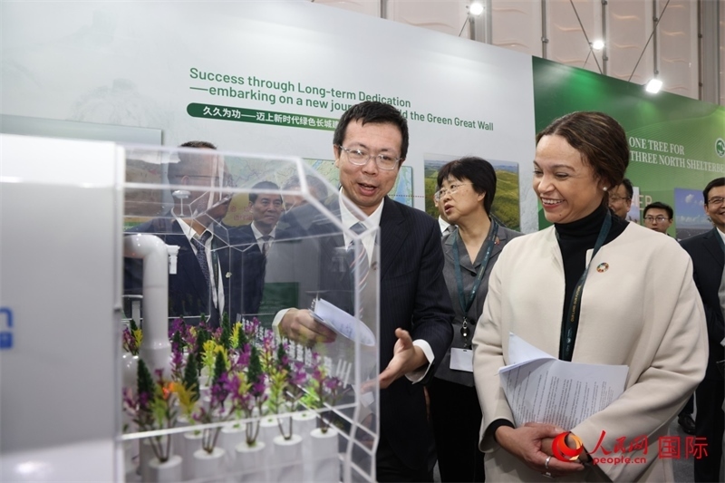 嘉賓參觀中國館。人民網(wǎng)記者任皓宇攝