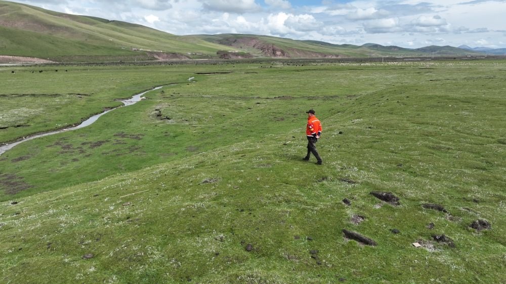9月24日，生態(tài)管護(hù)員那瓦才郎在草場上巡護(hù)。（受訪者供圖）