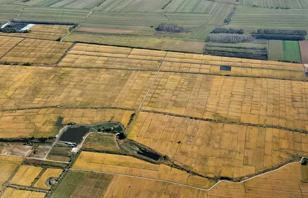 俯瞰黑龍江省哈爾濱市一處稻田（10月2日攝，無人機照片）。新華社記者 孫曉宇 攝