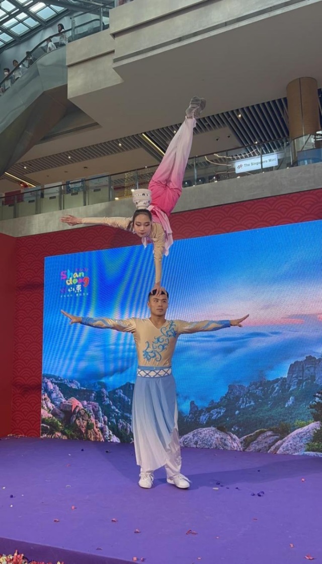 來(lái)自中國(guó)和新加坡的藝術(shù)團(tuán)體聯(lián)袂表演了歌舞、器樂(lè)、武術(shù)、雜技等多種形式的文藝節(jié)目?；顒?dòng)主辦方供圖