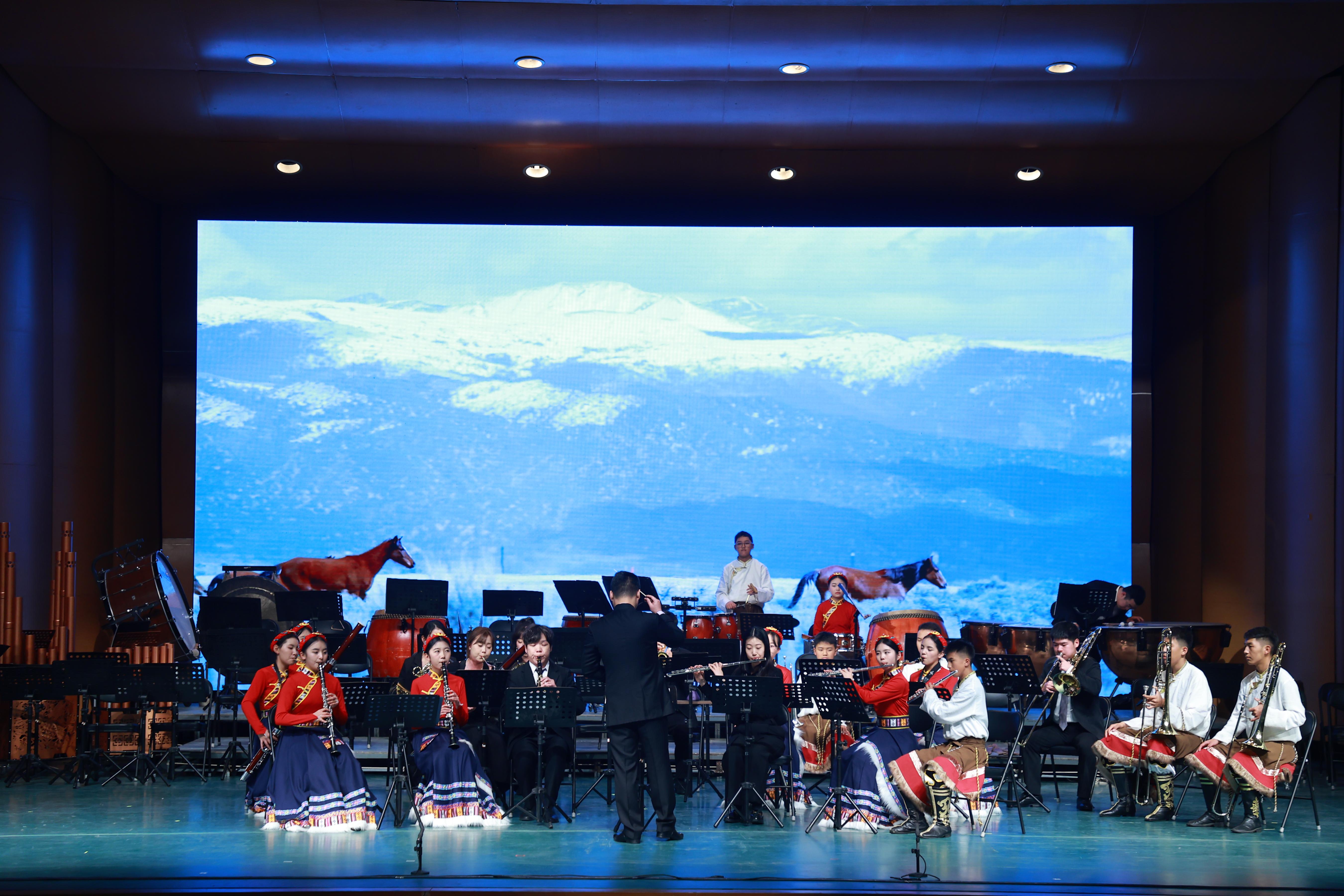音樂會(huì)展演現(xiàn)場。（主辦方供圖）