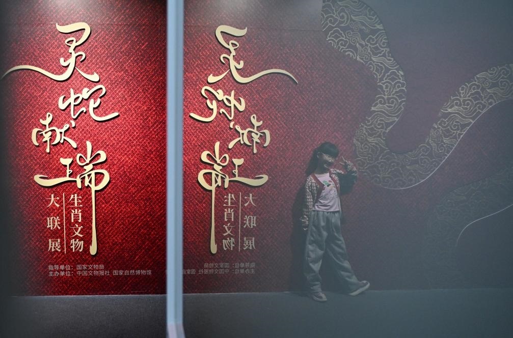 1月18日，一名小朋友在國(guó)家自然博物館舉辦的“靈蛇獻(xiàn)瑞——2025乙巳蛇年生肖文物大聯(lián)展”展覽中拍照留念。（新華社記者 陳鐘昊 攝）