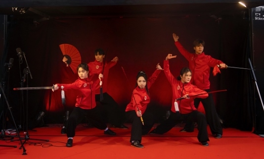 武術(shù)表演。中國駐芬蘭大使館供圖