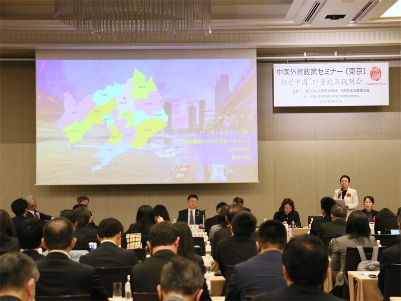 地方代表進(jìn)行專題投資推介。人民網(wǎng) 許可攝