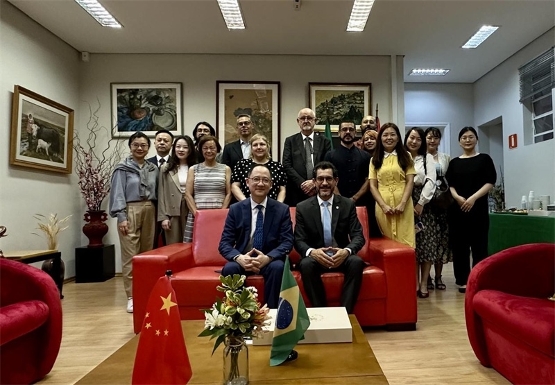 圖為參加座談會的來賓合影留念。 圣保羅州立大學(xué)孔子學(xué)院供圖