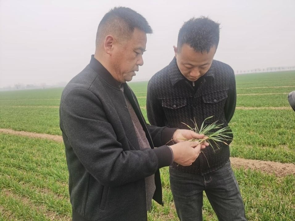 在山東濟(jì)寧汶上縣苑莊鎮(zhèn)，農(nóng)技員黃海龍對(duì)種糧大戶王振現(xiàn)場(chǎng)進(jìn)行春耕指導(dǎo)。人民網(wǎng)記者 車柯蒙攝