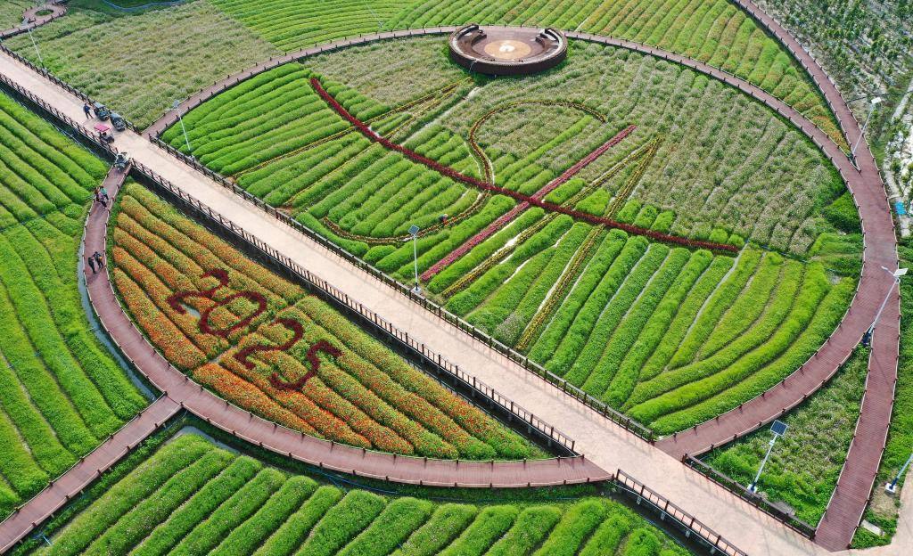 這是3月21日拍攝的瓊海博鰲南強(qiáng)村景色（無人機(jī)照片）。新華社記者 郭程 攝