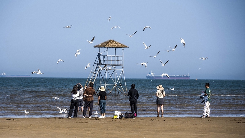 2024年5月12日，河北秦皇島，北戴河鴿子窩公園成群海鷗在天空中自由翱翔，與大海、藍天構成了一幅美麗的畫卷。