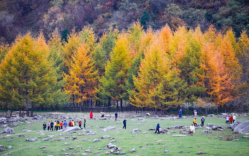 2023年10月27日，深秋時節(jié)的陜西秦嶺太子嶺五彩斑斕，進入最佳觀賞期。