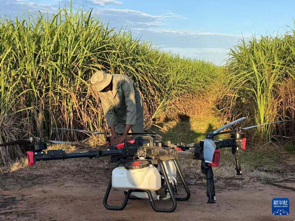 3月25日，在南非夸祖魯-納塔爾省的方廷希爾莊園，工作人員為無人機做起飛作業(yè)前的準備。新華社記者 白舸 攝