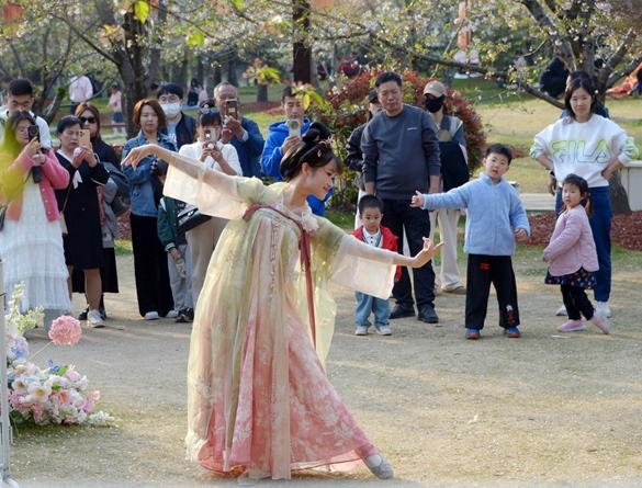 清明假期期間，上海顧村公園櫻花島上，游客在觀賞國(guó)風(fēng)漢服快閃表演。（圖片來源：視覺中國(guó)）