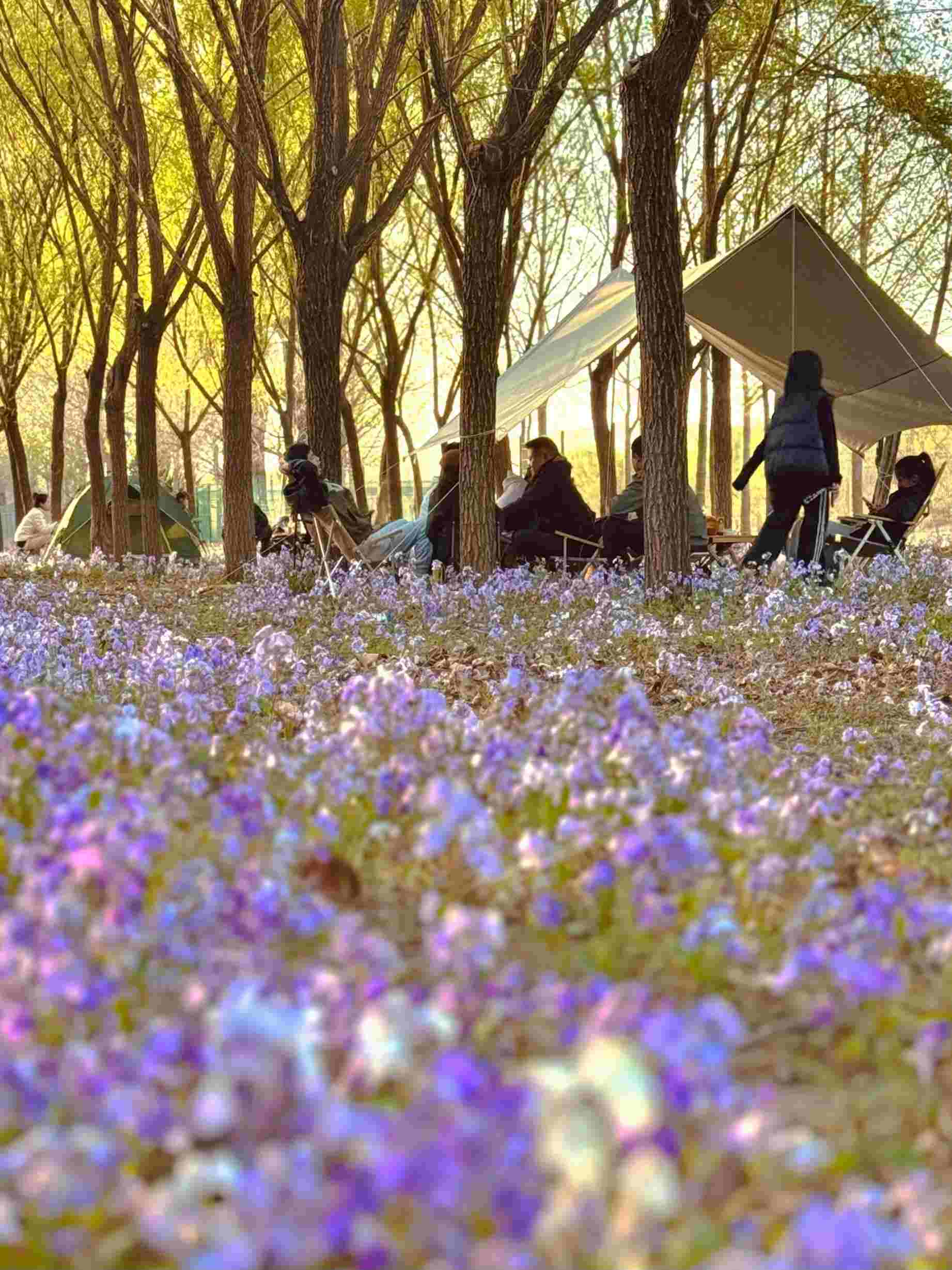 清明假期期間，范女士一家在北京溫榆河邊露營(yíng)。受訪者供圖