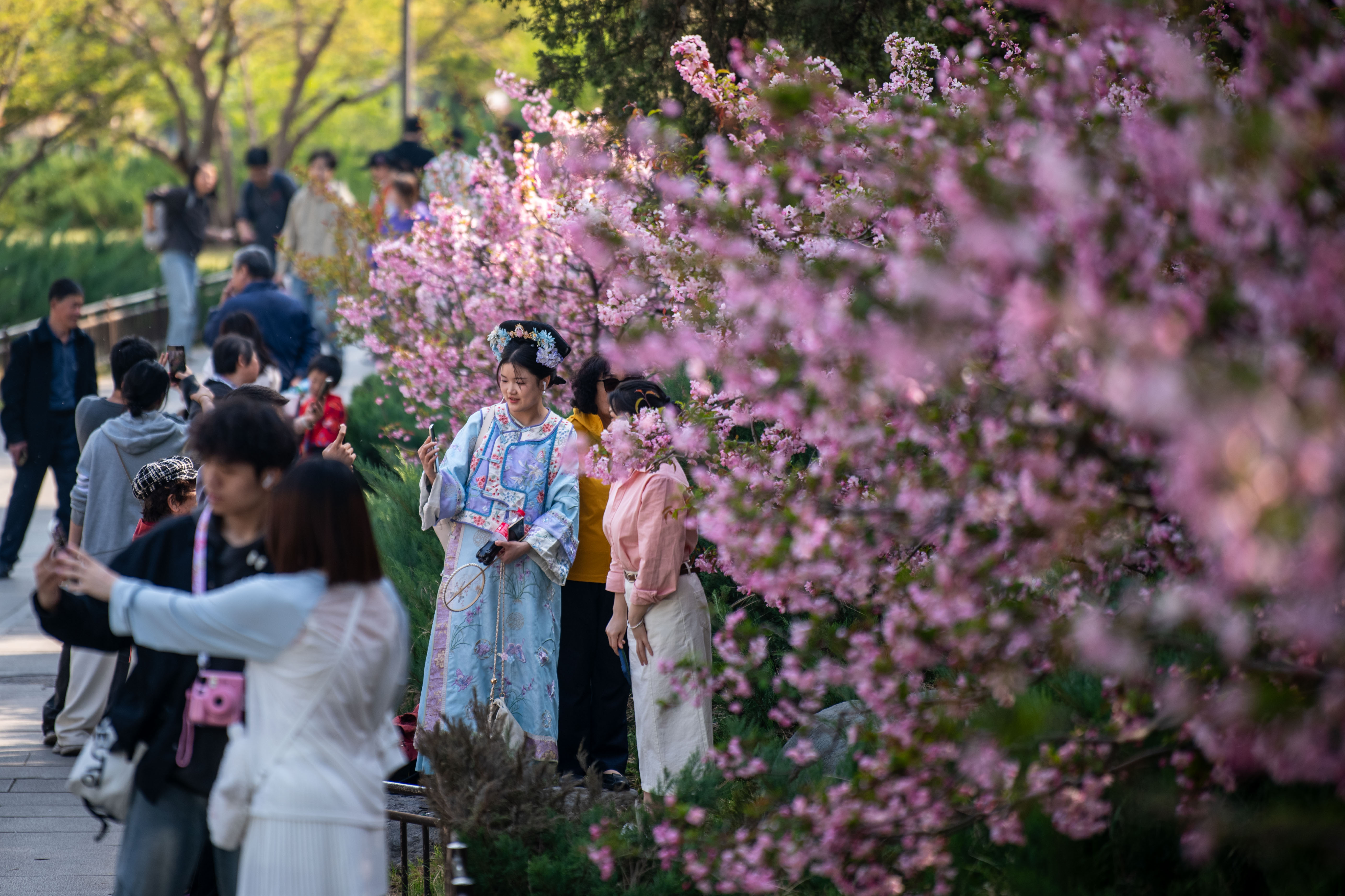 2025年4月6日，北京北海公園，滿園春色醉游人。人民網(wǎng)記者 翁奇羽攝