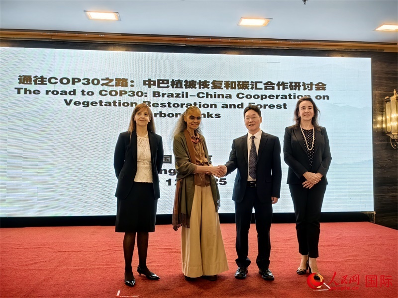 中國國家林業(yè)和草原局副局長李云卿（右二）、巴西環(huán)境和氣候變化部部長瑪麗娜·席爾瓦（左二）、巴西財(cái)政部副部長羅熙丹（右一）、巴西駐華大使館公參樂美（左一）出席“通往COP30之路：中巴植樹造林和碳匯合作研討活動(dòng)”。人民網(wǎng)記者 符園園攝