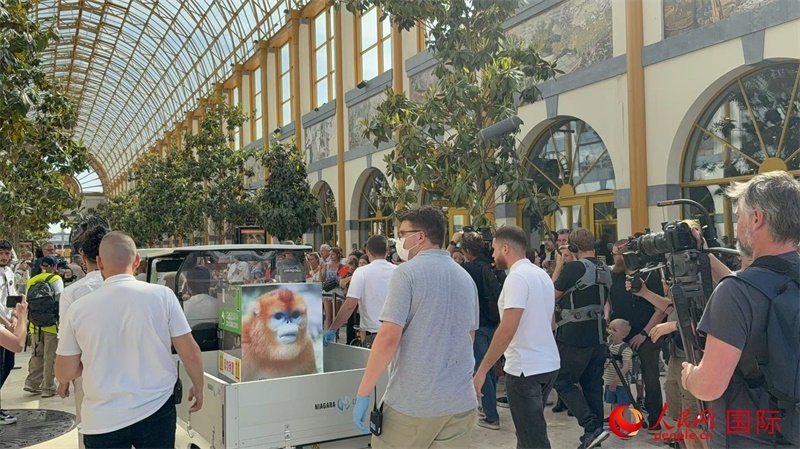 圖為活動(dòng)現(xiàn)場(chǎng)。人民網(wǎng)記者 牛瑞飛攝