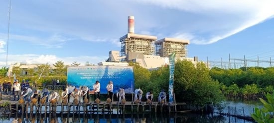 5月18日，中印尼嘉賓在爪哇7號燃煤電站舉行紅樹林補(bǔ)植儀式。記者 曹凱 攝