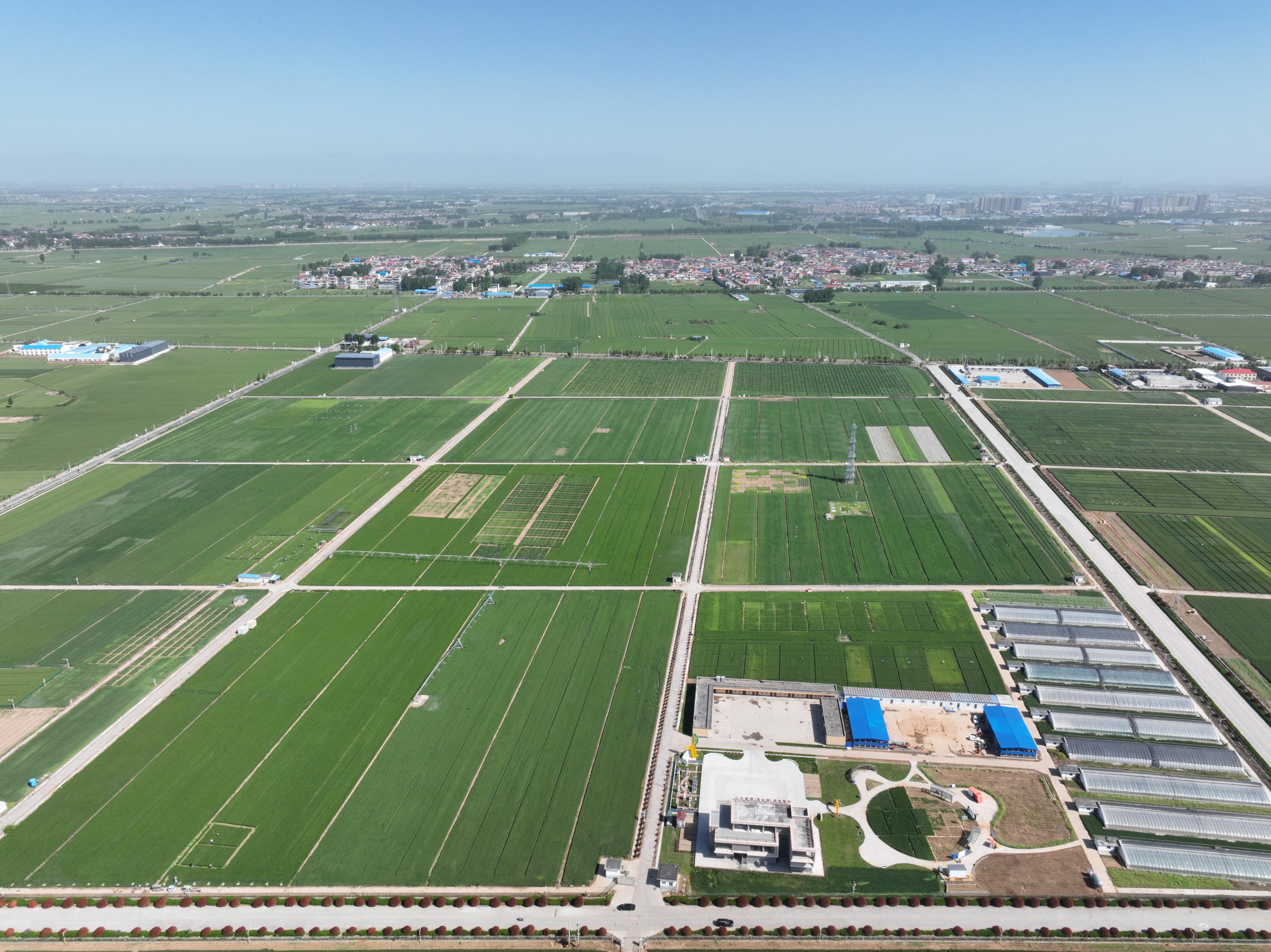 俯瞰水利部灌溉試驗(yàn)總站試驗(yàn)研究基地。受訪者供圖