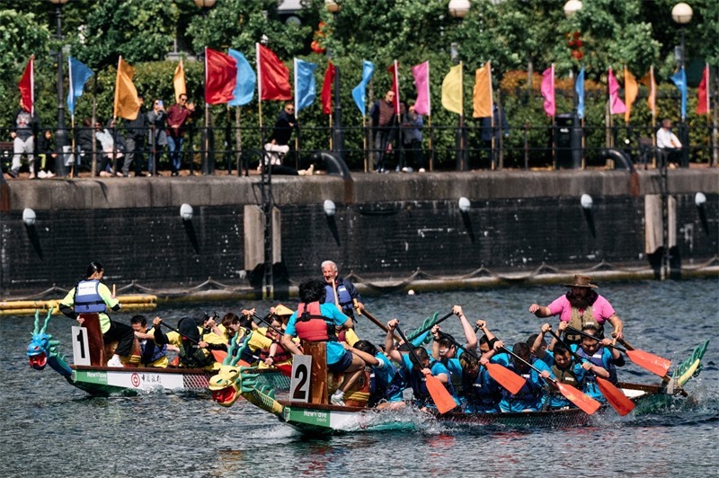 中英雙方的參賽隊(duì)伍參與龍舟競渡。楊浩鵬攝
